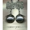 Metal Signs Metalen Borden|AC/DC Family Jewels - metalen bord