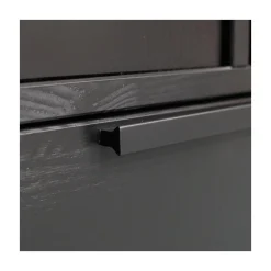 WOOOD Industriele Kasten|Kledingkasten|Adam 2-deurs Kledingkast grenen zwart 100cm