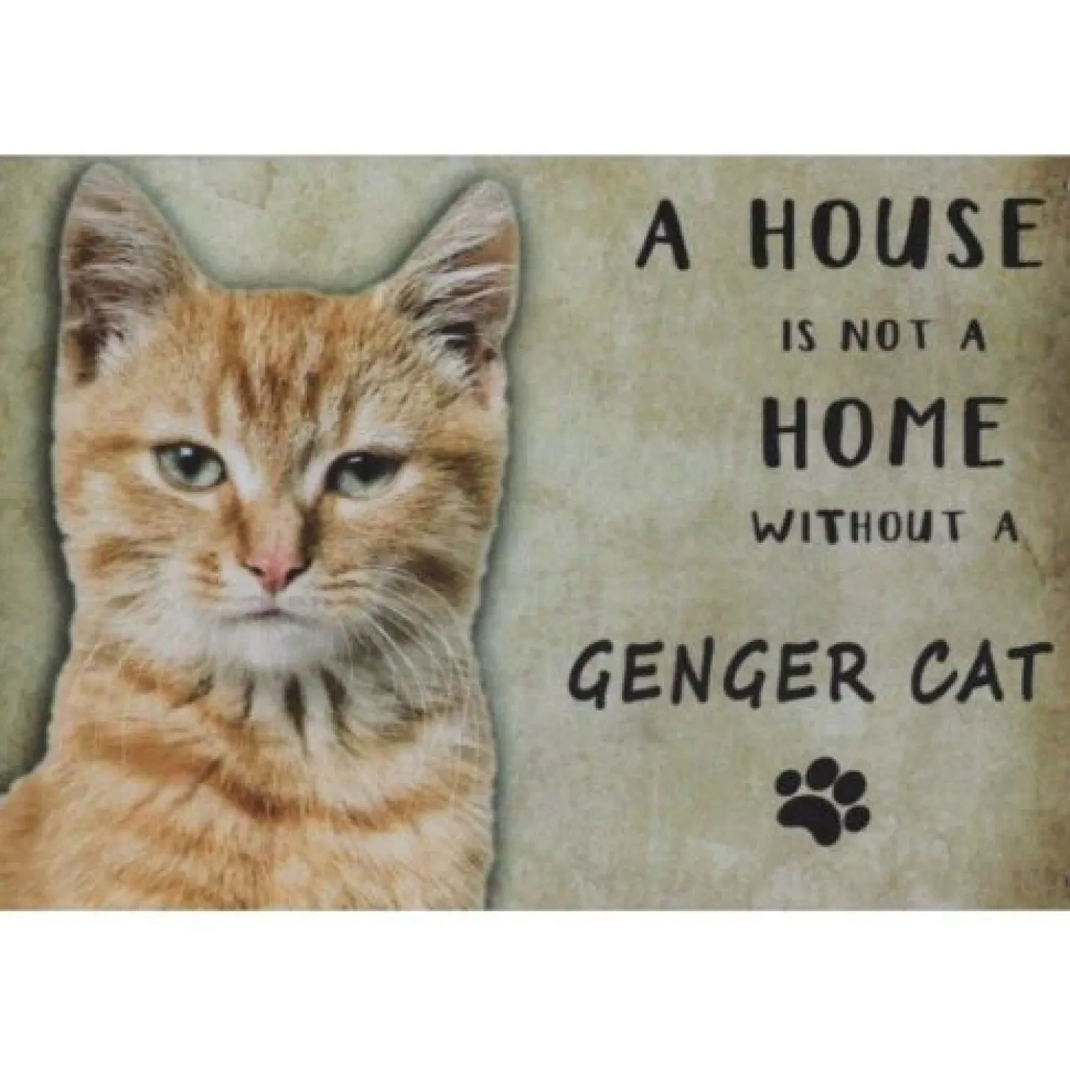 Cavetown Metalen Borden|A home Genger Cat - metalen bord