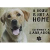 Cavetown Metalen Borden|A home White Labrador - metalen bord