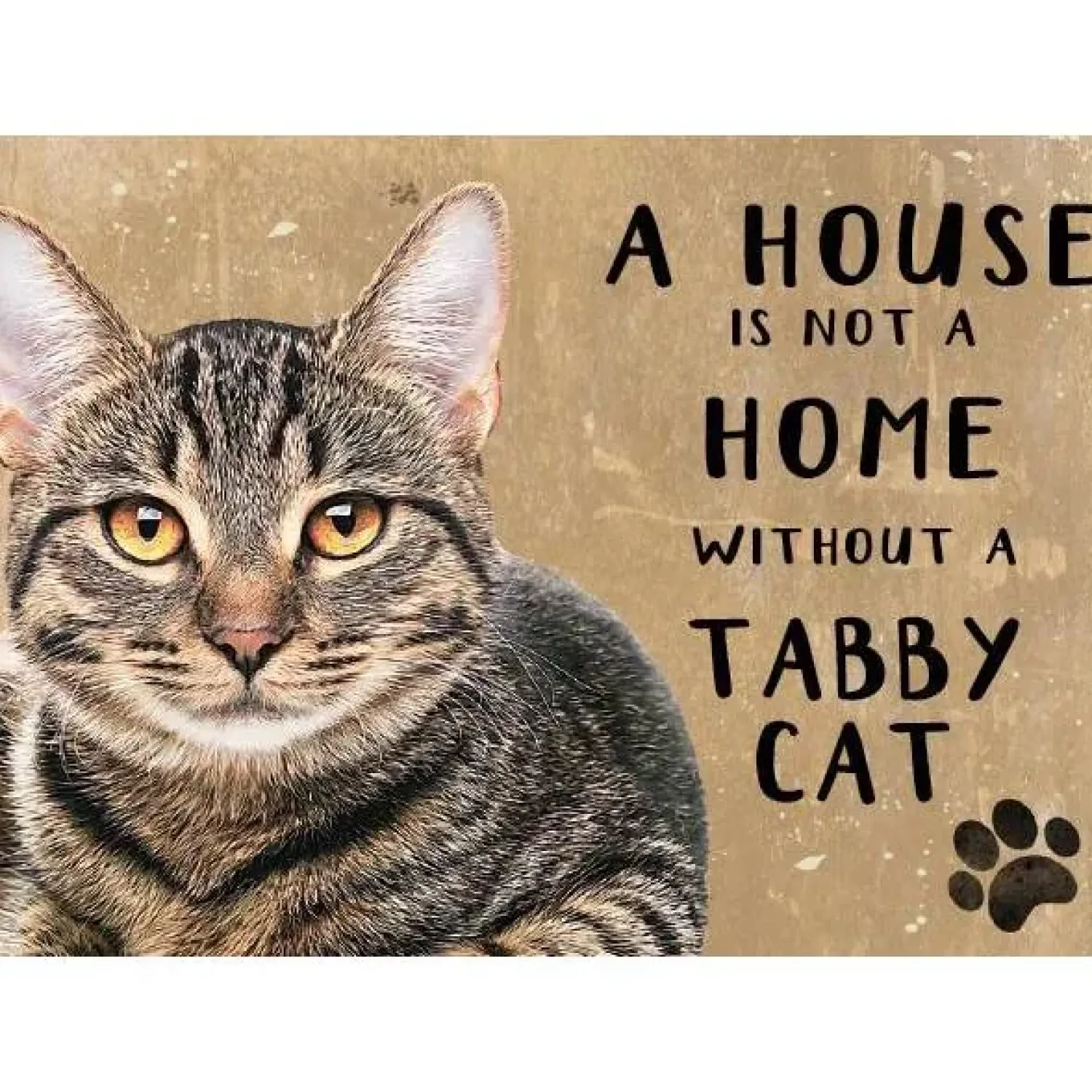 Cavetown Metalen Borden|A House is not a Home Tabby Cat - metalen bord