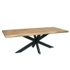 Furndea Eettafels|Alaska Boomstamtafel Mangohout 220cm