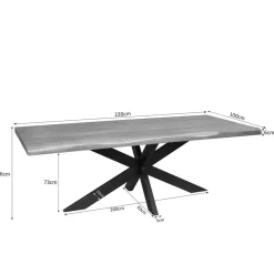 Furndea Eettafels|Alaska Boomstamtafel Mangohout 220cm