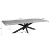 Furndea Eettafels|Alaska Boomstamtafel Mangohout 300cm