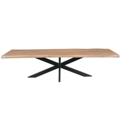 Furndea Eettafels|Alaska Boomstamtafel Mangohout 300cm