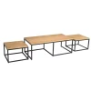 Furndea Salontafels|Alaska Salontafel Set van 3 rechthoekig Mangohout 120cm