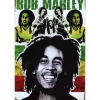 Cavetown Metalen Borden|Bob Marley Colour - metalen bord