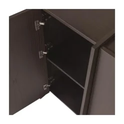 WOOOD Industriele Kasten|Kledingkasten|Brock Kledingkast 2-deurs Essen fineer Middenbruin 102cm