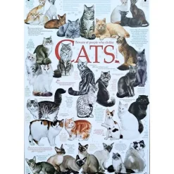 Cavetown Metalen Borden|Cats - metalen bord