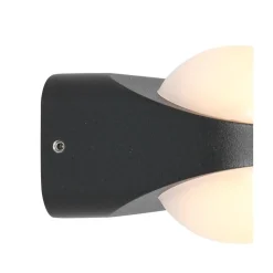 Steinmex Buitenverlichting|Cesar 2-lichts Buitenlamp Zwart inclusief lichtbronnen
