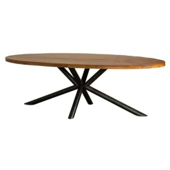 Tower living Eettafels|Diego Eettafel ovaal mangohout 200×100
