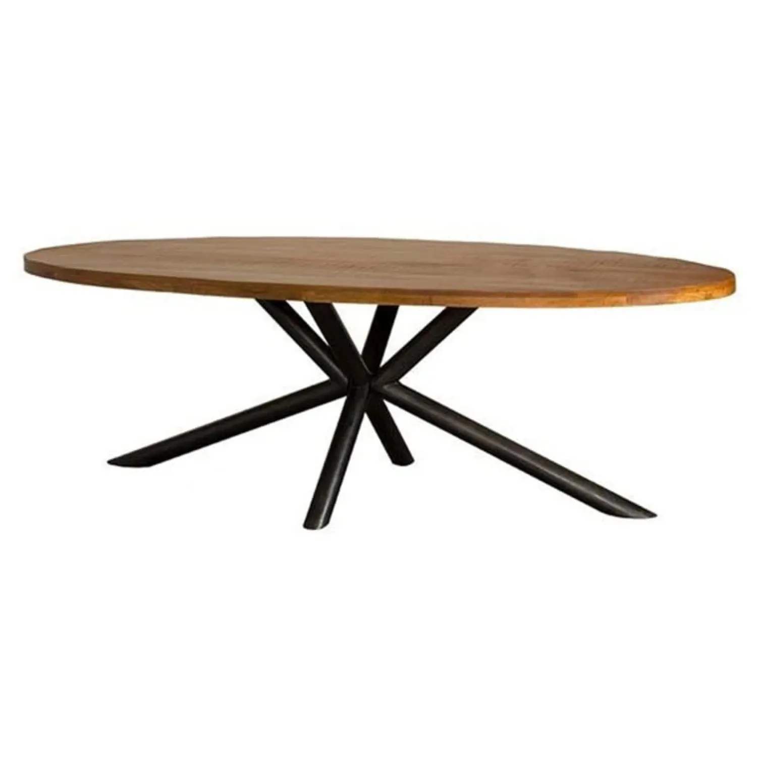 Tower living Eettafels|Diego Eettafel ovaal mangohout 200×100