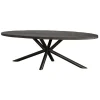 Tower living Eettafels|Diego Eettafel ovaal zwart mangohout 200×100
