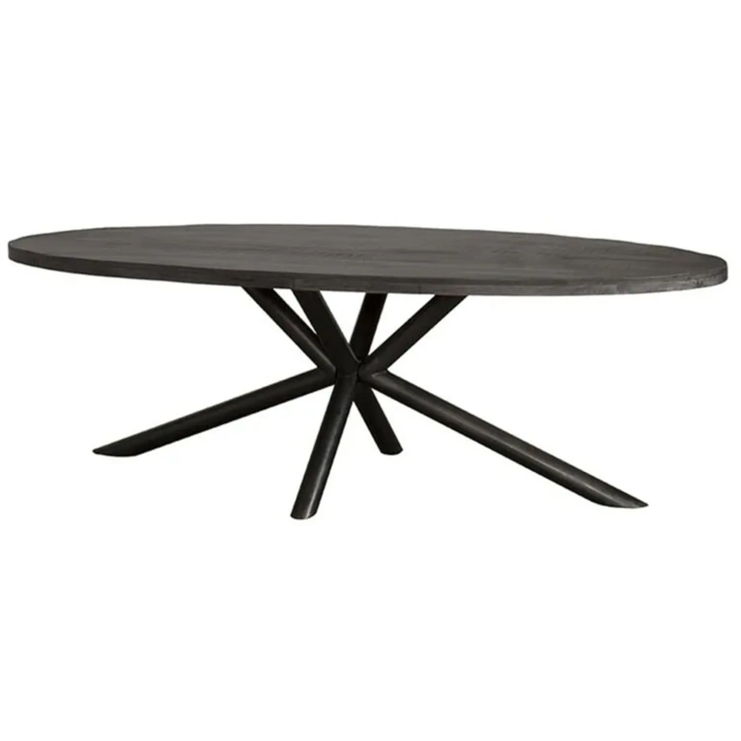 Tower living Eettafels|Diego Eettafel ovaal zwart mangohout 200×100