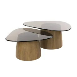 Kalfort Salontafels|Dominick Salontafel set van 2 driehoekig Brons glas