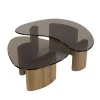 Kalfort Salontafels|Dominick Salontafel set van 2 organisch Brons glas
