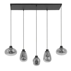 Steinmex Hanglampen|Glazen Hanglamp|Echo Hanglamp 5-lichts glas