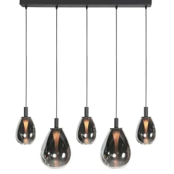 Steinmex Hanglampen|Glazen Hanglamp|Edgar 5-lichts Hanglamp Smoke Glas