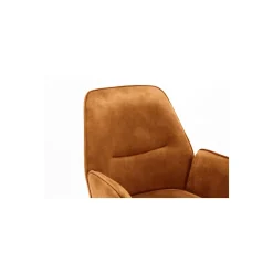 Furndea Eetkamerstoelen|Eetkamerstoel Brigitte Gold