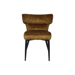 PTMD Eetkamerstoelen|Elin Eetkamerstoel Bruin Velvet