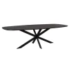 Furndea Eettafels|Ferry Eettafel Deens Ovaal Zwart Eiken 280 cm