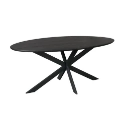Furndea Eettafels|Ferry Eettafel Ovaal Zwart Eiken 180 cm