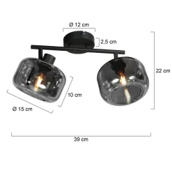 Steinmex Plafondlampen|Gabriella 2-lichts Plafondlamp Smoke Glas