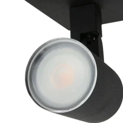 Steinmex Plafondlampen|Plafonnieres|Kael 2-lichts Plafondspot Zwart
