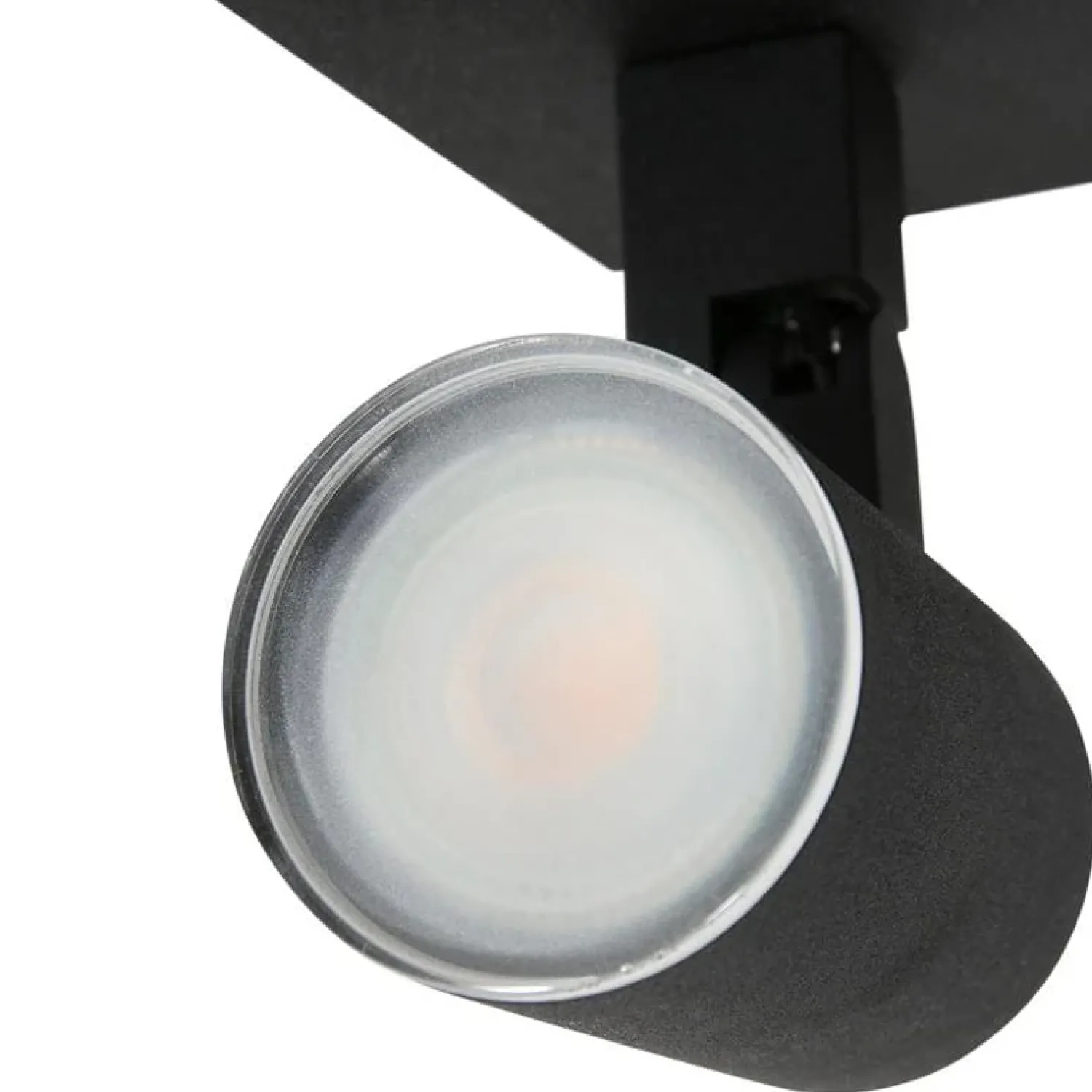 Steinmex Plafondlampen|Plafonnieres|Kael 2-lichts Plafondspot Zwart