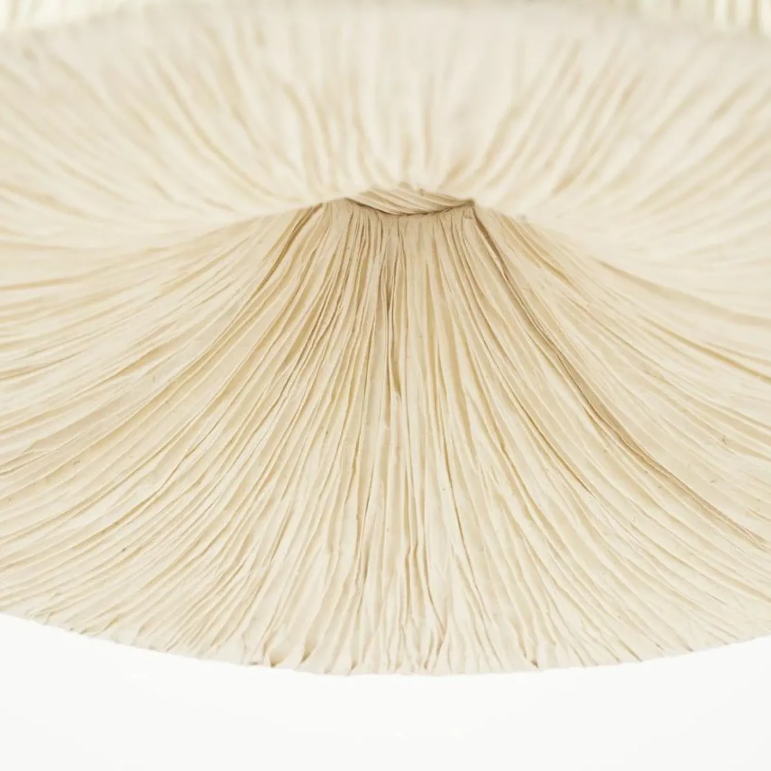 By Boo Hanglampen|Lokta 1-lichts Hanglamp koepel Creme