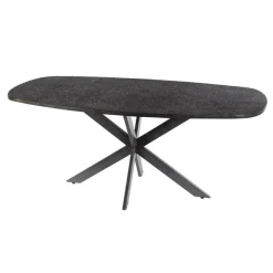 Kalfort Eettafels|Lopez Eettafel deens ovaal Metallic grijs 215cm