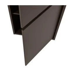WOOOD Wandkasten|Industriele Kasten|Meggy Wandkast Smal Grenen Middenbruin 55cm