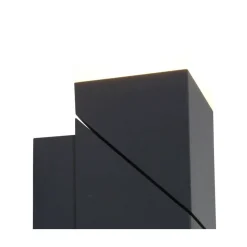 Steinmex Buitenverlichting|Nick 2-lichts Buitenlamp Wand Zwart inclusief lichtbron