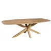 Furndea Eettafels|Nicole Eettafel Deens ovaal Mangohout 210 cm