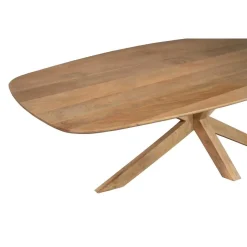 Furndea Eettafels|Nicole Eettafel Deens ovaal Mangohout 210 cm