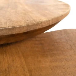 Mysons Salontafels|Noli Salontafel set van 2 organisch Mangohout