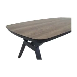Lesli Living Tuintafels|Odense Tuintafel Deens ovaal 200cm