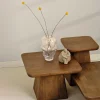 Mysons Salontafels|Pauli Salontafel 80cm Mangohout Walnoot
