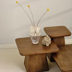 Mysons Salontafels|Pauli Salontafel 80cm Mangohout Walnoot