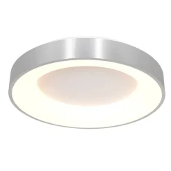Steinmex Plafondlampen|Plafonnieres|Plafonniere Ringlede zilver small 30cm