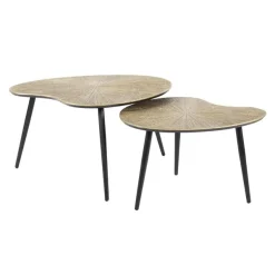 Kalfort Salontafels|Rivo Salontafel set van 2 Niervorm Brons