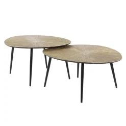 Kalfort Salontafels|Rivo Salontafel set van 2 Organisch Brons