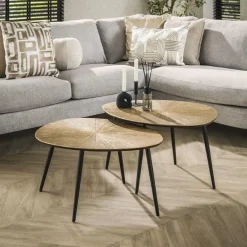 Kalfort Salontafels|Rivo Salontafel set van 2 Organisch Brons