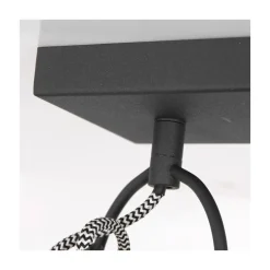 Steinmex Plafondlampen|Ross 2-lichts Plafondlamp Zwart