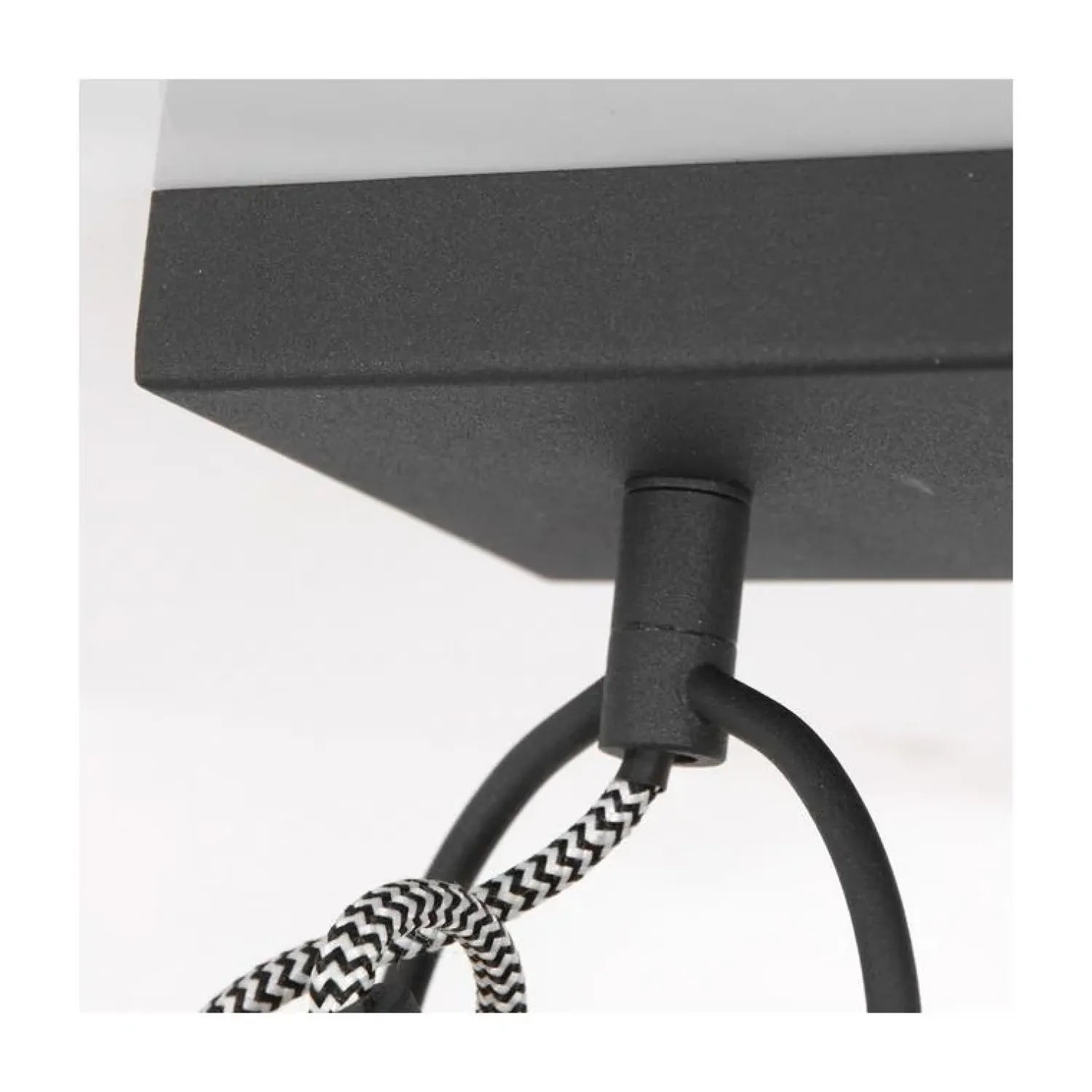 Steinmex Plafondlampen|Ross 2-lichts Plafondlamp Zwart