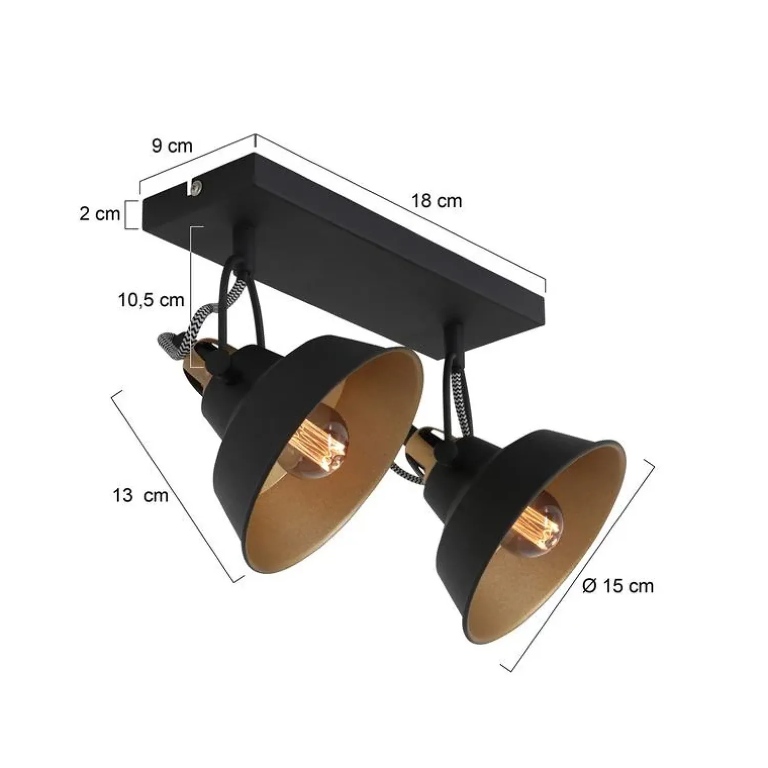 Steinmex Plafondlampen|Ross 2-lichts Plafondlamp Zwart