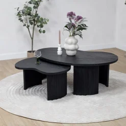 Vane Living Salontafels|Salontafel Asger set van 2 zwart 110/70cm