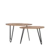 Label51 Salontafels|Salontafel set van 2 Frisk Mangohout 68cm