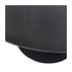 WOOOD Eettafels|Sammy Eettafel Rond MDF Zwart 120cm