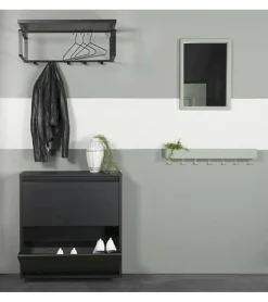 Redin Design Schoenenkasten|Schoenenkasten|Schoenenkast industrieel Pippen (2 lades) – zwart metaal